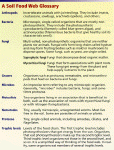Click for a picture of a glossary of soil food web terms